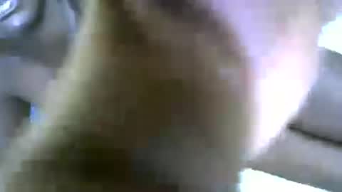 lioness online show from 06.27.26