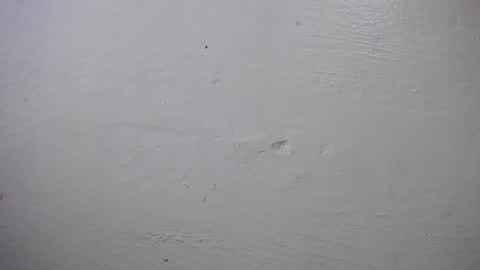 lisa_branch online show from 10.04.25