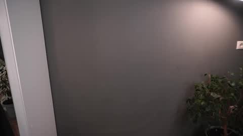 Snapshot of lisa_schiele chatting on 11.26.25 Elisabeth or Lisa online show from 11.26.25