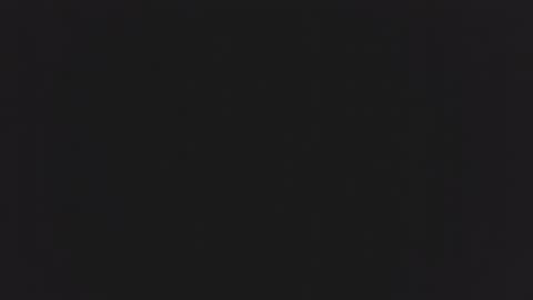 little_anef online show from 12.11.24