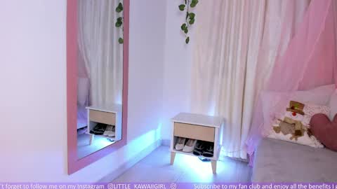 Snapshot of little_kawaiigirl chatting on 12.04.24 LILA online show from 12.04.24