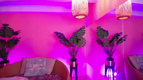 Paulette online show from 11.15.25