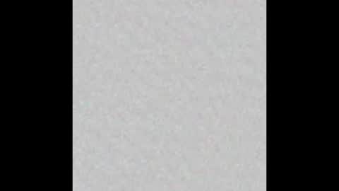 Adaline online show from 02.09.26