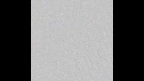 Adaline online show from 02.15.26