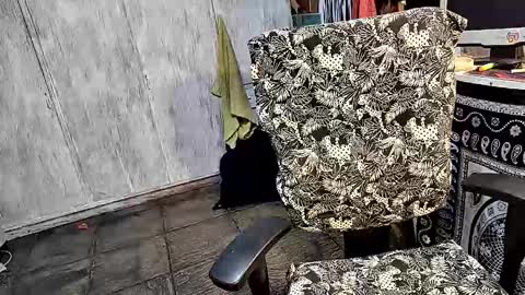 little_savage online show from 03.25.26