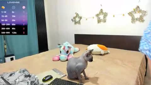 Snapshot of little_sonya chatting on 02.21.26 Kat online show from 02.21.26