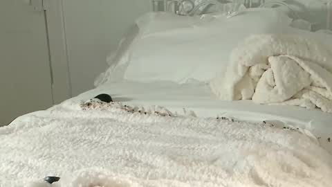 Audra A online show from 02.01.25