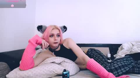Snapshot of littlepinkcat chatting on 04.18.26 Felix online show from 04.18.26