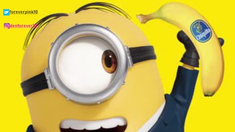 Pinky online show from 12.04.24