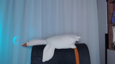 Snapshot of littlesadcabbage chatting on 12.11.24 Sonnenschein online show from 12.11.24