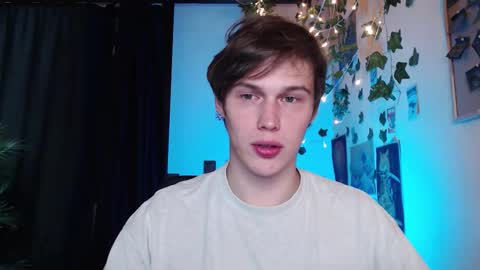 Snapshot of littlesadcabbage chatting on 10.20.25 Sonnenschein online show from 10.20.25