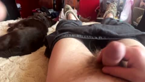 Little Tj online show from 02.24.26