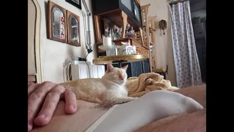 Snapshot of lo82 chatting on 10.03.25 Lo82 online show from 10.03.25