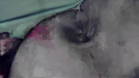 lofkok online show from 03.12.25