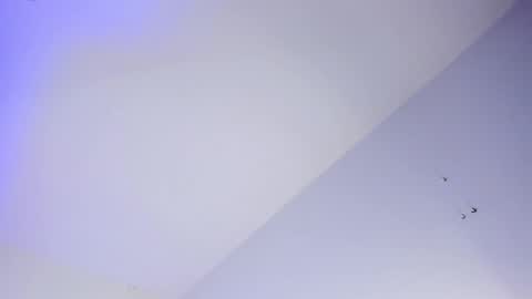 Logan online show from 10.16.25