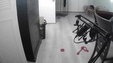 lohangwang69 online show from 02.15.26