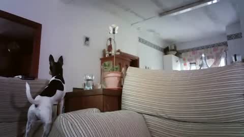 LOLA HUESO y ERIC online show from 10.06.25