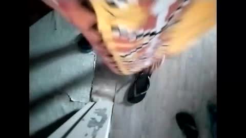 tey online show from 12.04.25