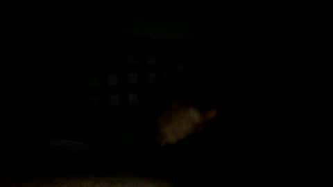 Handsome Cock online show from 11.14.25