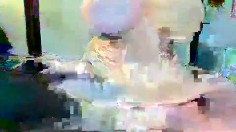 Long Dong91 online show from 01.03.25