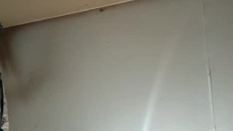 longone2600 online show from 01.11.26