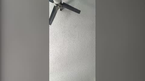 Dominate bbc online show from 02.03.26