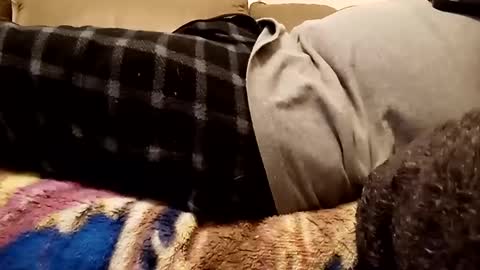 looking4bush online show from 12.01.24