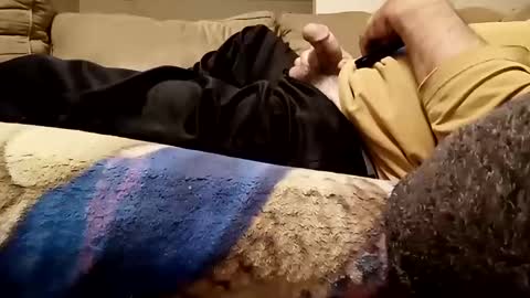 looking4bush online show from 11.12.25