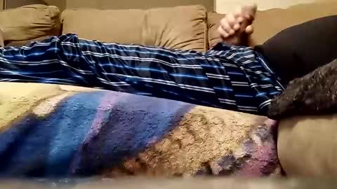 looking4bush online show from 02.21.26