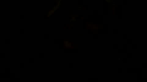 loose565 online show from 02.23.26