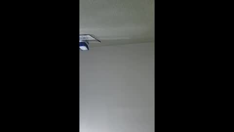 Snapshot of lopezpedro2791 chatting on 12.17.25 2791 3D online show from 12.17.25