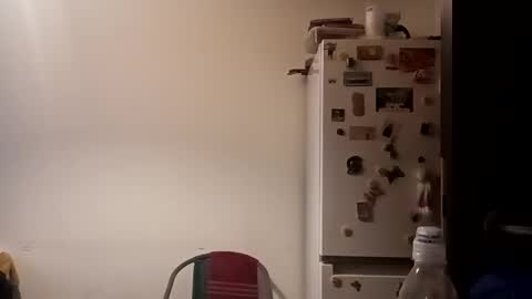 Snapshot of loraflame chatting on 12.31.24 Lora online show from 12.31.24