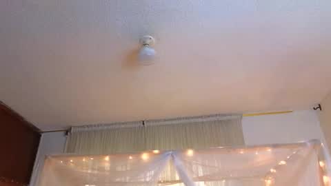 loreanis online show from 11.20.25