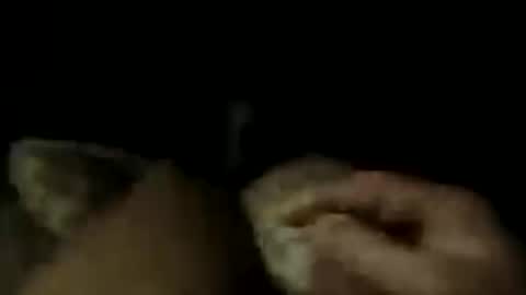 Snapshot of lostin69dremes chatting on 07.16.26 LostinDremes online show from 07.16.26