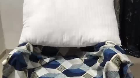 Riva online show from 03.27.26