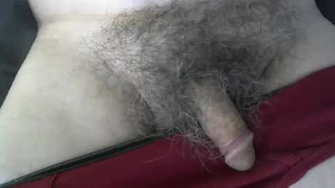 loveabush49 online show from 09.26.25