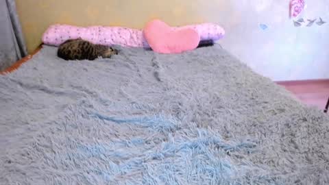 cat-girl online show from 01.01.25