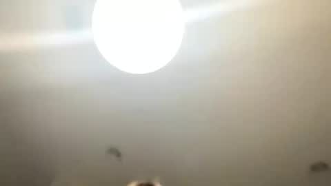 Snapshot of lovellly_ chatting on 01.24.25 Love online show from 01.24.25