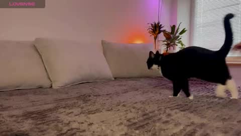 Snapshot of lovelorn_ chatting on 10.23.25 Elsa online show from 10.23.25