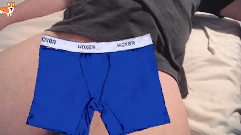  OLI online show from 03.12.26