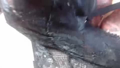 Snapshot of lover_mature2 chatting on 02.27.25 Mature lover2 online show from 02.27.25