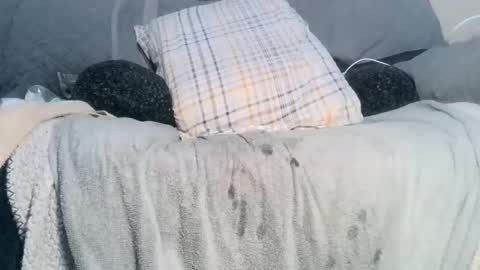 Snapshot of lovestobeused2 chatting on 02.17.26 lovetobeused online show from 02.17.26