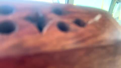 Snapshot of loveyourkittty chatting on 03.12.25 StacyMaeWish online show from 03.12.25