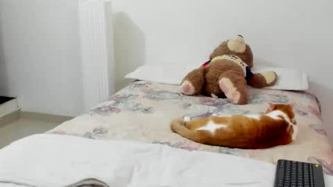 luara__01__lecat_1 online show from 02.08.26