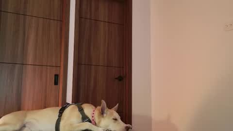 Snapshot of luci_fer15 chatting on 09.09.25 Luci y Fer online show from 09.09.25