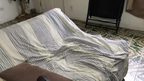 Snapshot of lucifer_curious chatting on 11.08.25 lucifer_curious online show from 11.08.25