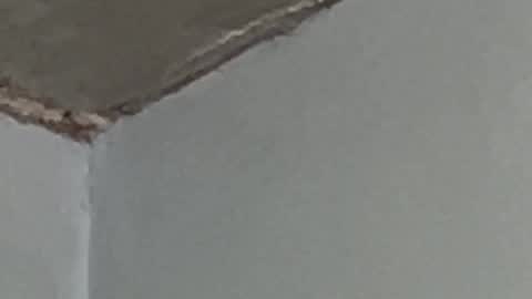 Lucien online show from 09.17.25