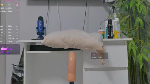 Alice online show from 11.10.25