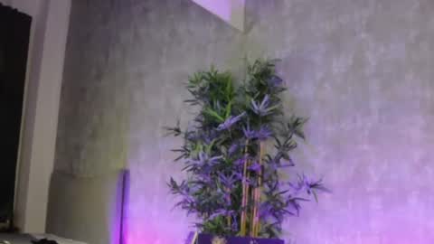 Snapshot of lucyrayy chatting on 02.04.26 lucyrayy online show from 02.04.26