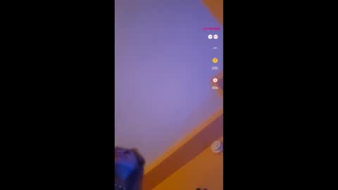 Snapshot of lucyvybes_and_gogert chatting on 11.18.25 Lucy Vybes and Go-Gert online show from 11.18.25